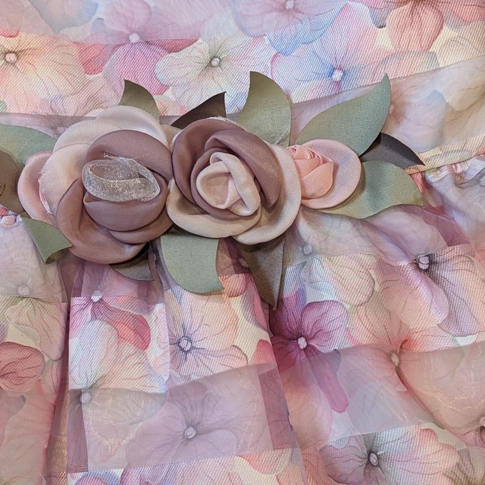 EUC....Bonnie Jean Organza Party Dress Size 3T - Picture 4 of 7